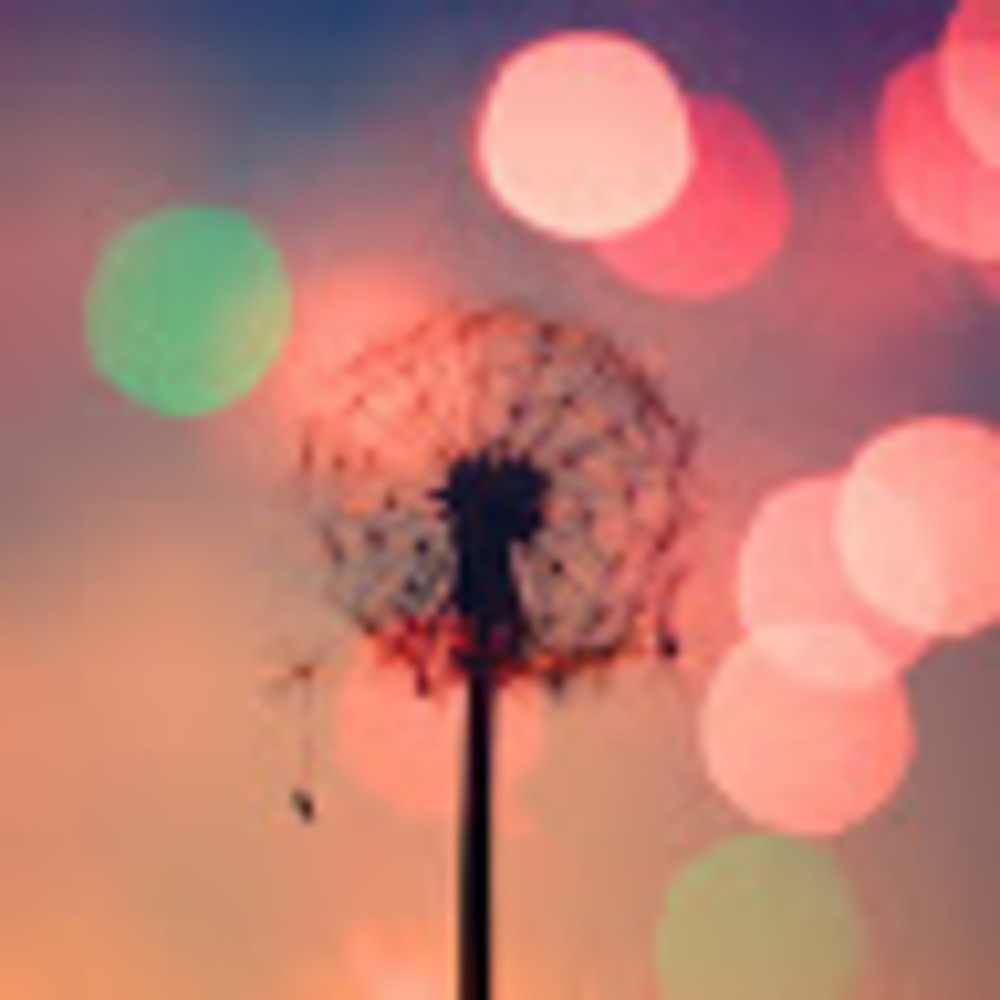 Meet your Posher, Veni